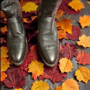 CODY JAMES MEN'S
CLASSIC WESTERN BOOTS -
MEDIUM TOE Size 12D
BBM125